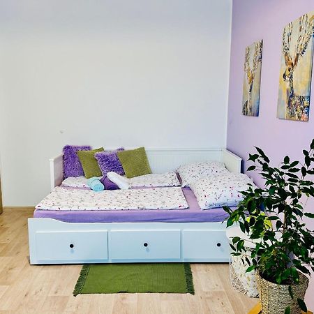 Garsonka Ve Dvore Dvůr Králové nad Labem Екстериор снимка